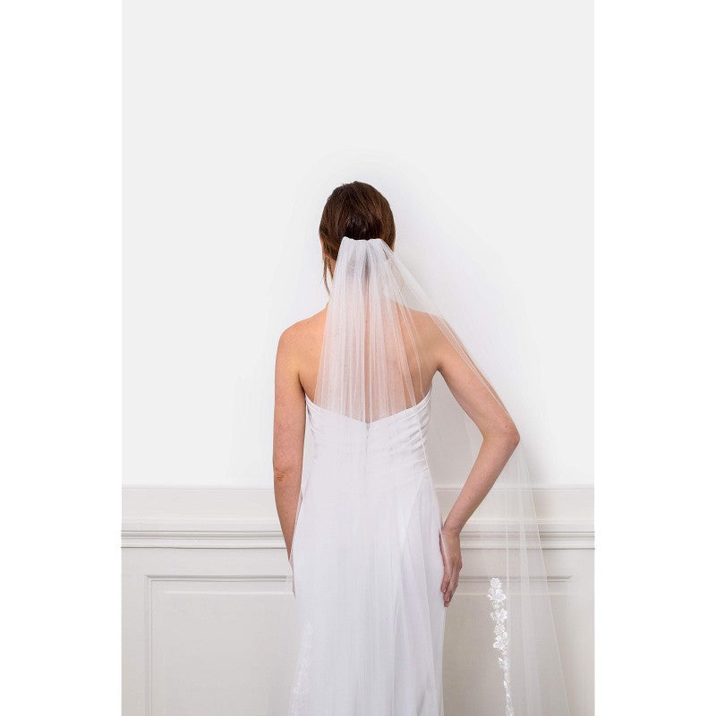 Rosa veil